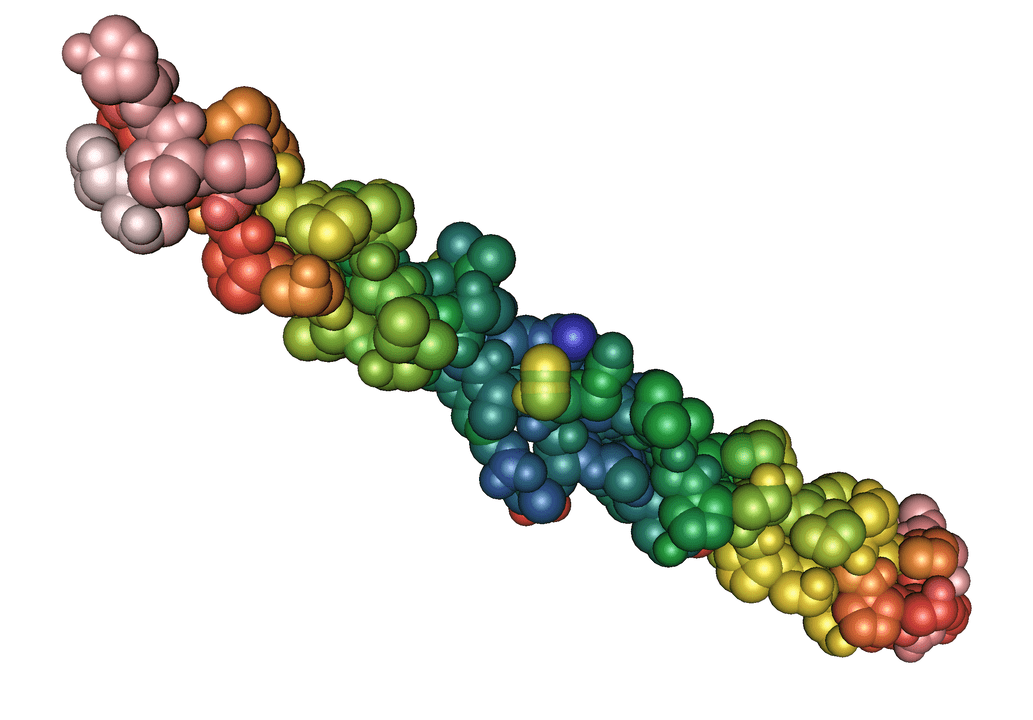 Proteina dell'elastina nel gel Pulsero Gel